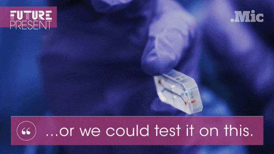 brigpod:  micdotcom:  Watch: These tiny “organ” chips could end animal testing