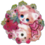 cherrypunc