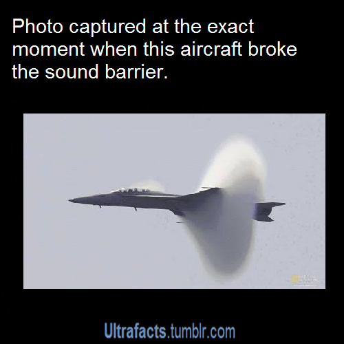 ultrafacts:  More Ultrafacts