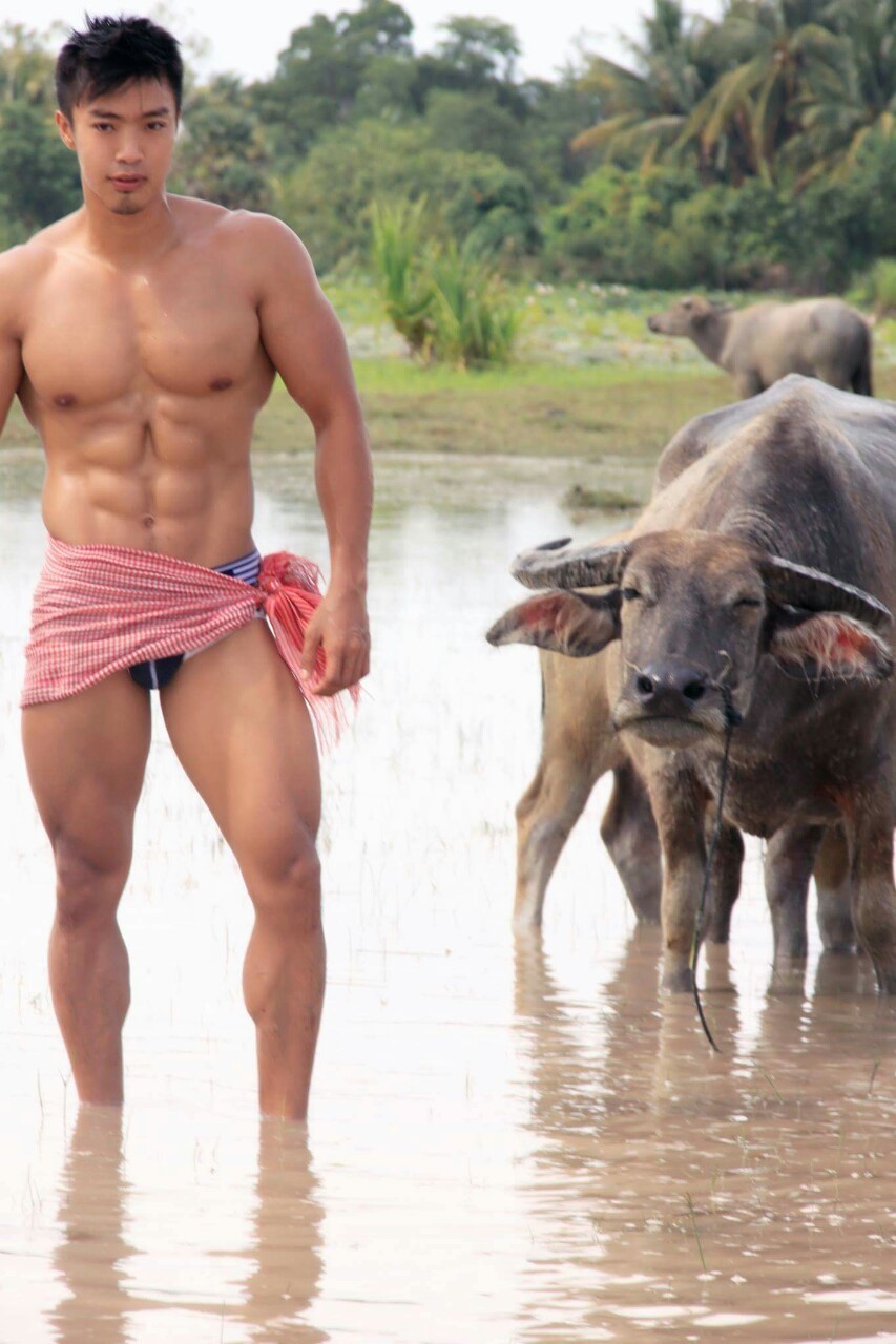 Beefy Cakes