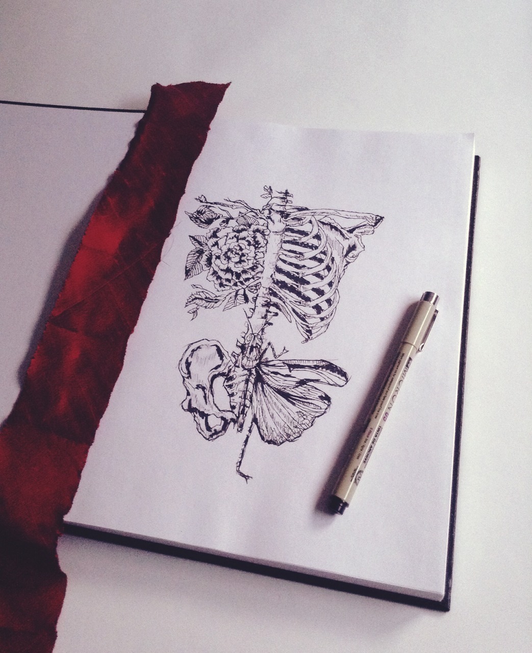 tajijoseph:  My rendition of Soft Anatomy 
