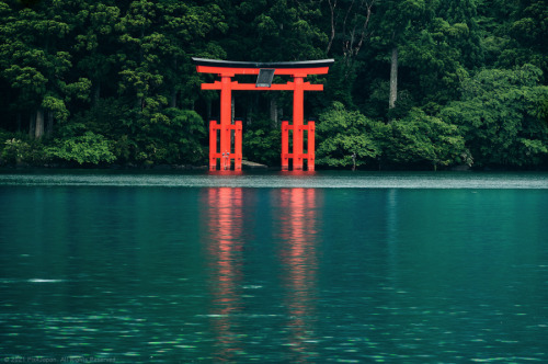 Hakone Peace Torii GateA close-up shot of the &ldquo;Heiwa-no-Torii&rdquo; (Gate of Peace) o