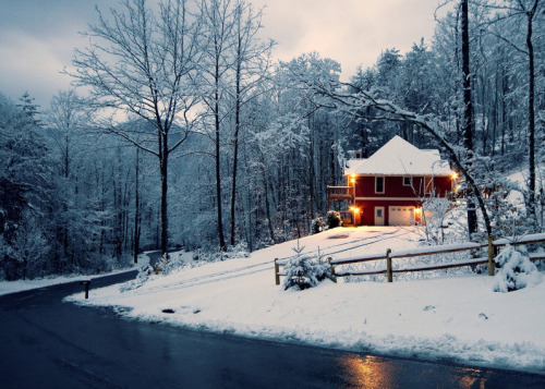 blissfully-winter: all year round xmas/winter blog! I follow back similar xx