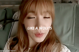 gingerfany:  insp  