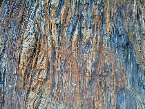 chondritic:jasjabberwocky:Outcrop of the Haast Schist at Brighton beach, DunedinWowwwwww I lov