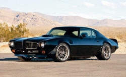 musclecardefinition:  1973 Trans Am Pro Touring