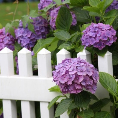 brilliantlybeloved: