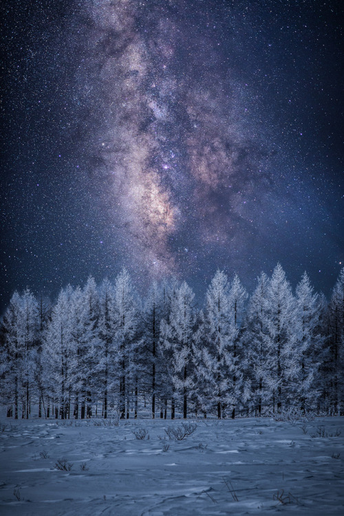 theadventurouslife4us: #outdoor , Milky Way over Winter trees,  Keep reading