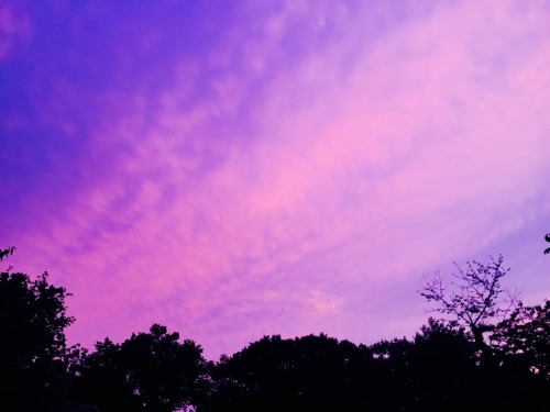 patbroklos:The sky looks lovely