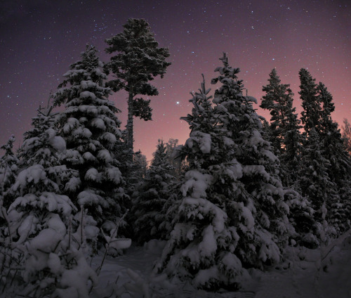 enchanting-landscapes:  Рева Михаил - Рождественская ночь  