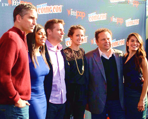 personofinterestpoifancon2015: Person of Interest is the 2016 TV show we will miss the mostww