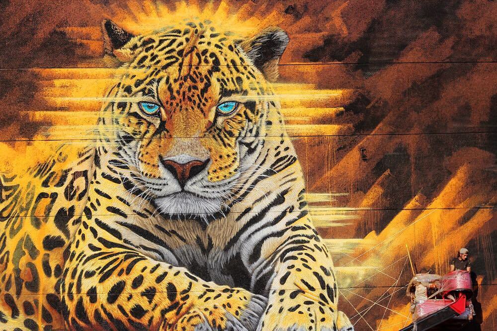 crossconnectmag:  SONNY Street Artist Sonny is a British-born artist, living in South