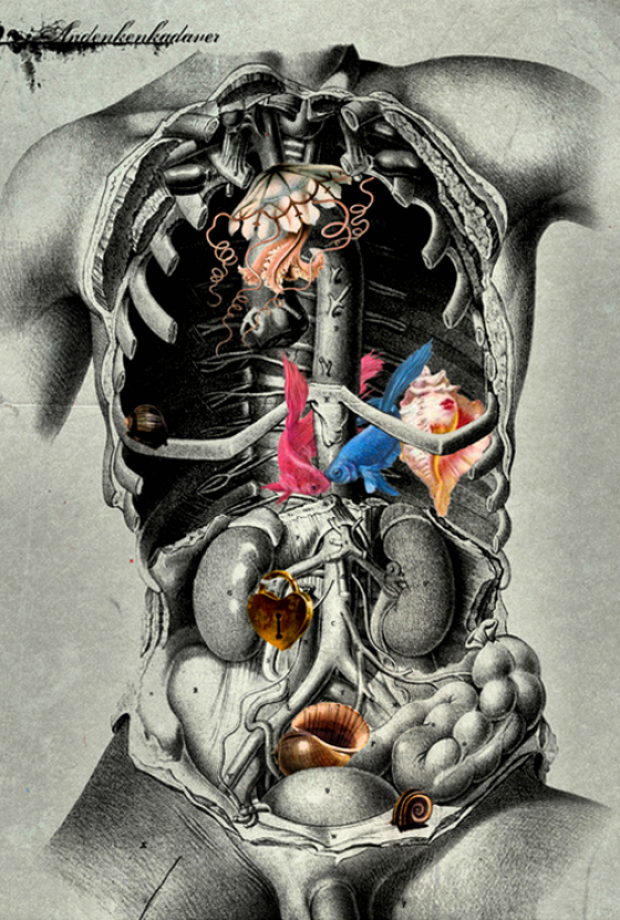 pixography:  Michele Parliament