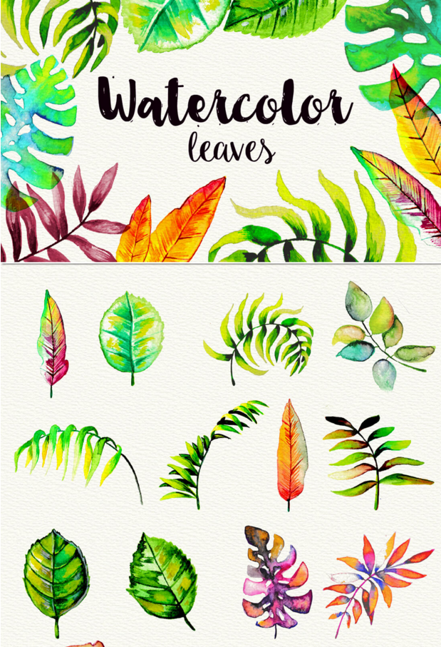 goodtypography:  350+ Watercolor Design Elements &amp; 100+ Stamp Brushes - 51%