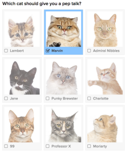 buzzfeed:  Which Cat Should Give You A Pep