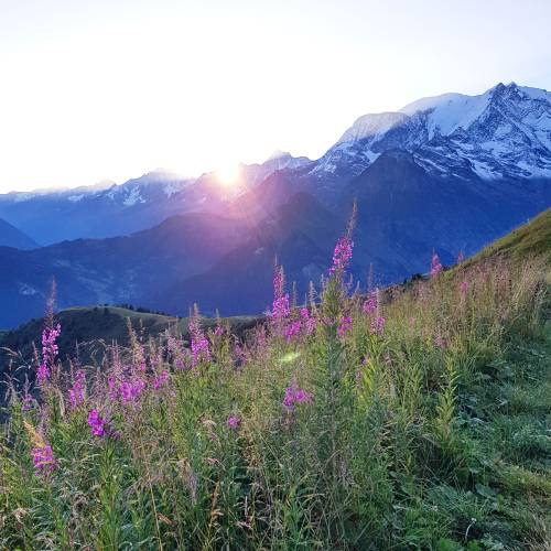  Au refuge du Mont Joly  (Saint-Gervais-les-Bains)  -  Août 2020 