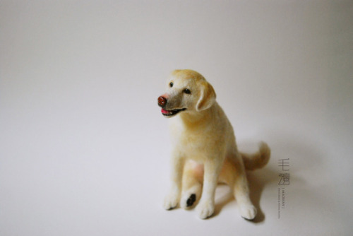  ▋ Labrador Retriever ( custom-made order )Sculpture approximately 13 x 14 x 18 cm 