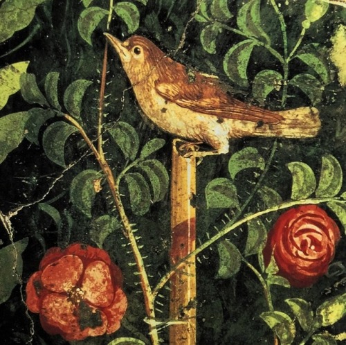  A bird among the shrubs and flowers of a garden. A detail of Pompeian wall painting, 1st century AD