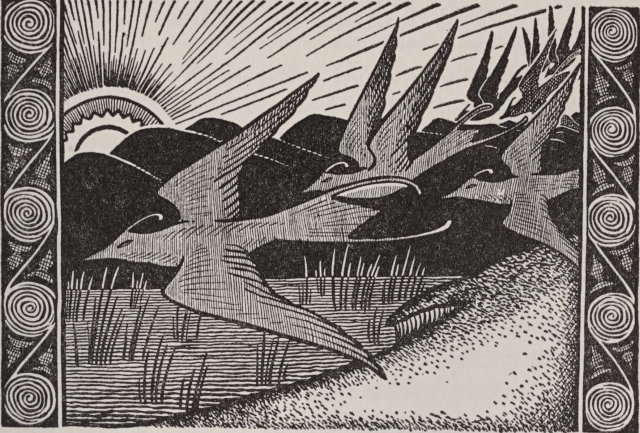 Resplendent nature. The hound of Culain. 1938. Internet Archive