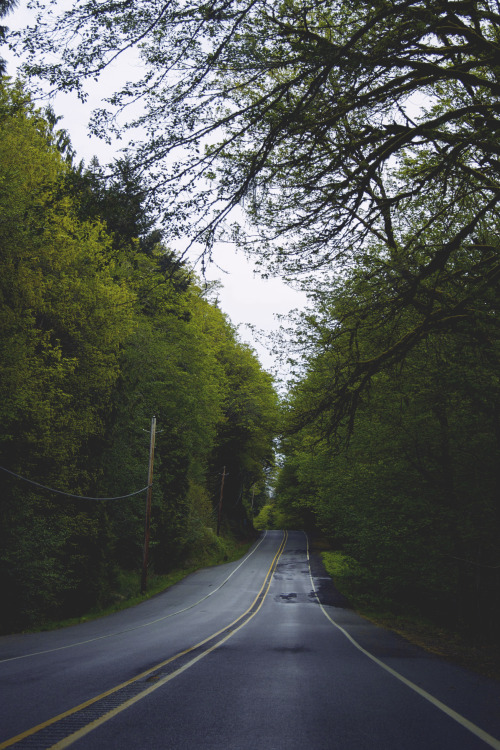 northwezt:Forks, Washington (April 26, 2014)