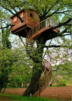 roughcutpaper:Some cool tree houses