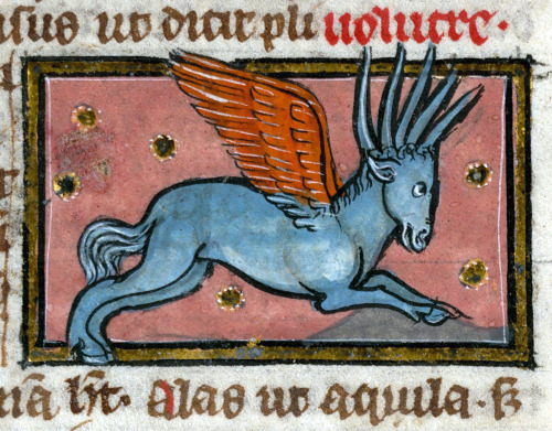 discardingimages: horned pegasusThomas of Cantimpré, Liber de natura rerum, France ca. 1290. 