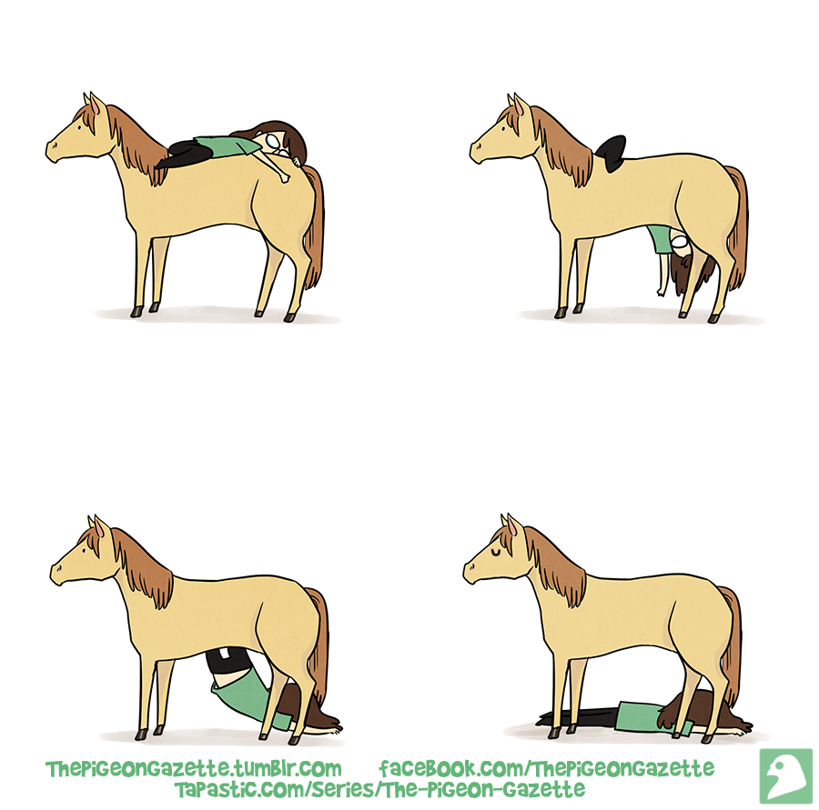thepigeongazette:  Buttersquash your hide is too smooth and shiny :( 