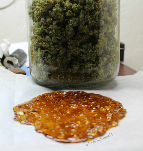 mice-teeth:  doobiedrewbie:  First photo I took with my new camera!   I love it!!!!