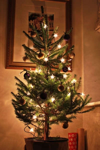 A very Merry Christmas to all my lovely Tumblr friends! Wishing you a beautiful and