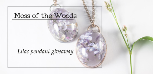 mossofthewoodsjewelry:Hey folks! It’s been a minute since I’ve last hosted a giveaway, and since I h