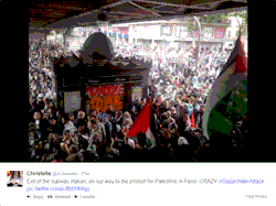 stay-human:  The Paris protest for Palestine.