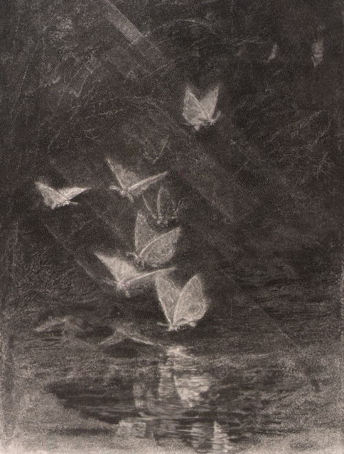the-cinder-fields:William Baxter Closson(1848-1926), Night Moths