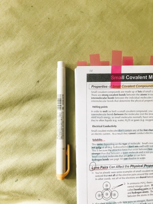 estudier: summer homework