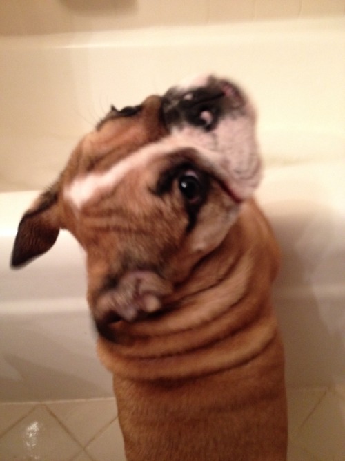 I love bath time!