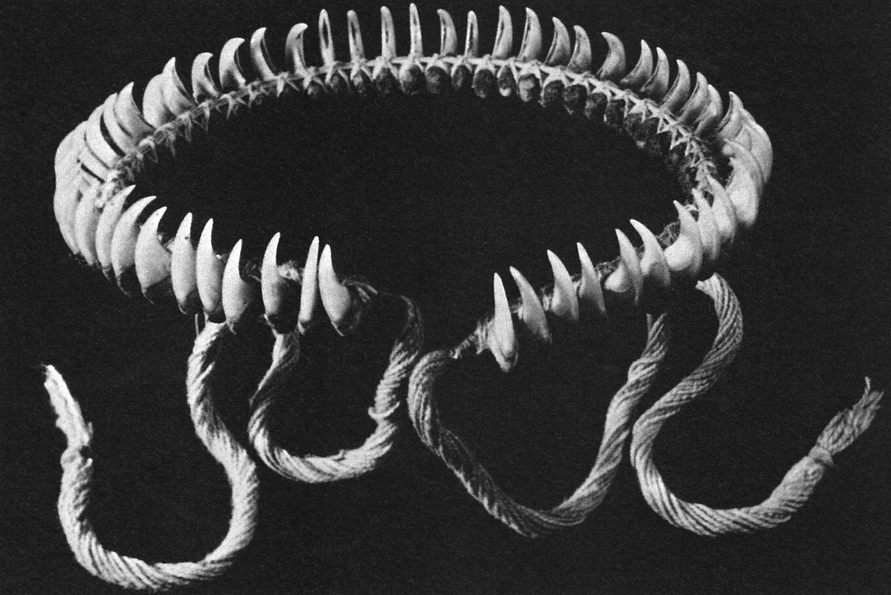 finsterforst:A necklace made of jaguar claws, from the Mato Grosso of Brazil. Necklaces