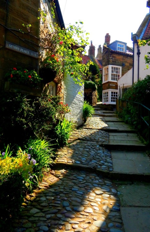 fuckitandmovetobritain: England;NorthYorkshire-   York, Robin Hoods Bay, Staithes, Arncliffe, Y