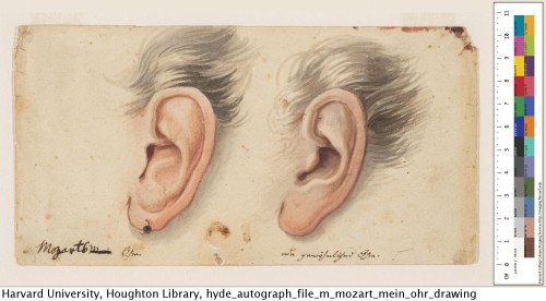 Comparison of Mozart’s ear with an ordinary ear.Autograph File MHoughton Library, Harvard Univ