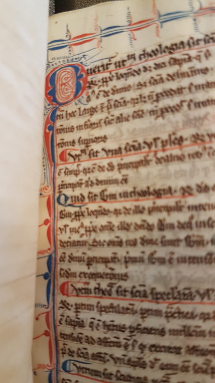 Ms. Codex 686 -[Abbreviation of Peter of Tarentaise&rsquo;s commentary on Peter Lombard&rsquo;s Sent