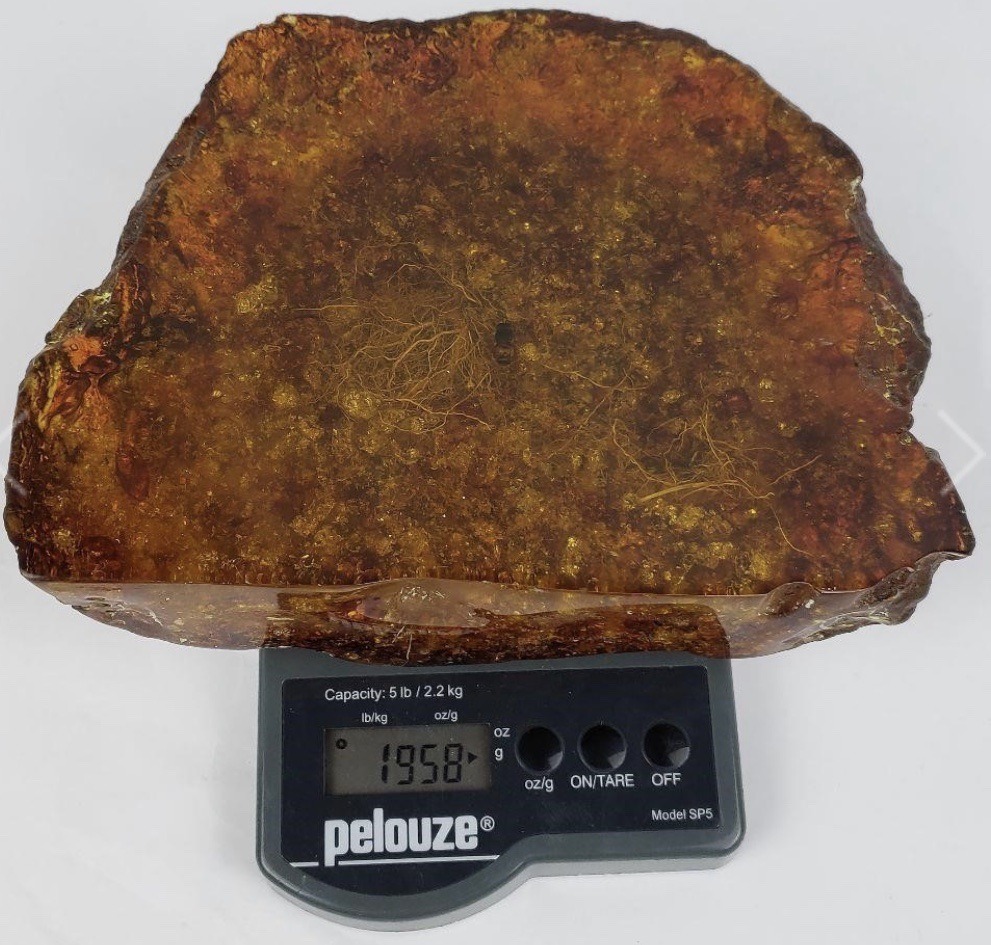 Amber Gemstone Explore Tumblr Posts And Blogs Tumgir Amber Gemstone Explore Tumblr Posts And Blogs Tumgir
