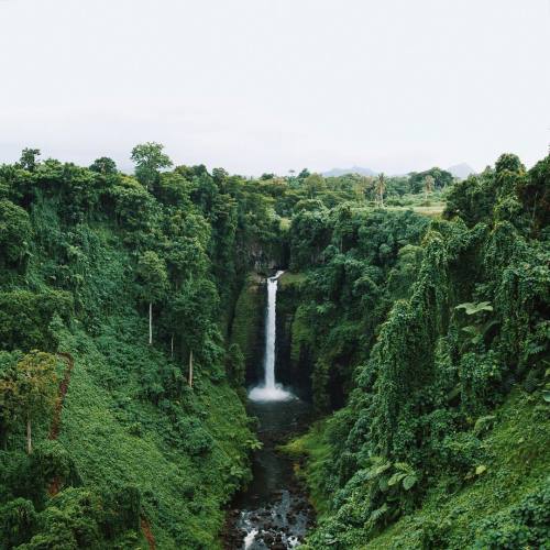 polychelles:Waterfall in Samoa by Emilie Ristevski