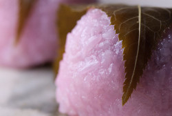 ilikeasianfood:  Closeup sakura-mochi by