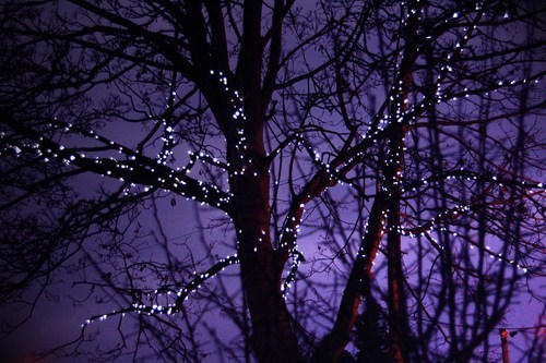 morgana-luna:  Purple aesthetic.