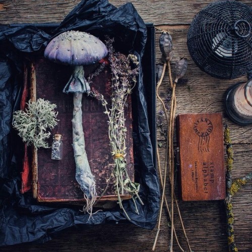 crystalcircle:Photo: www.instagram.com/hmelevskaya_nadya/