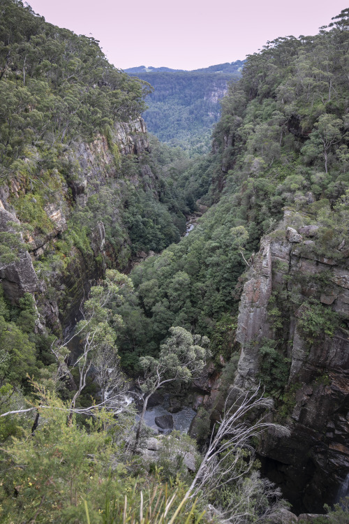 geologicaltravels:2020: Carrington Falls, in the Budderoo National Park, drops off the Illawarra Esc