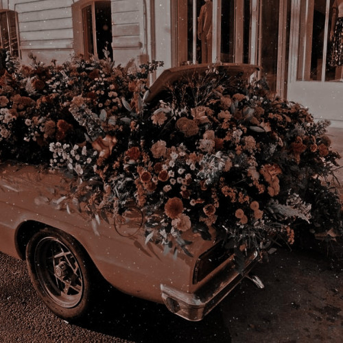 imsogifull - 𝗚𝟏's ɢɪʀʟ ۰ ⸂ぬ ࣪˖ ⋆ ࣪ 🕷 !