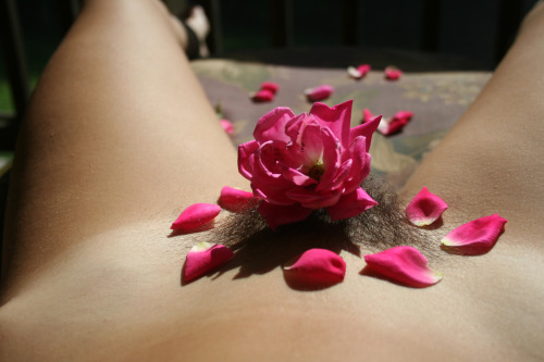 naked-yogi: roses Please only reblog with caption intact.