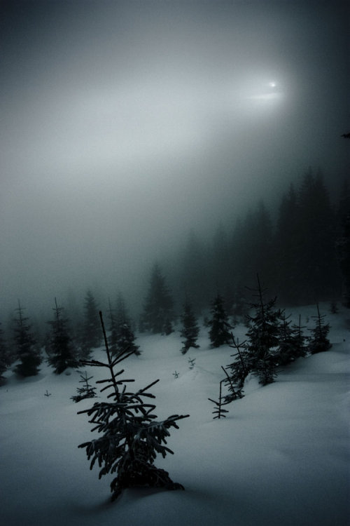 darkface: forest by confessor1