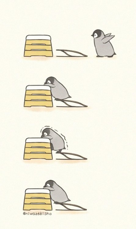 three-cheers-for-pretty-odd: justdailystories: These Comics About a Little Penguin Who Fails at Basi