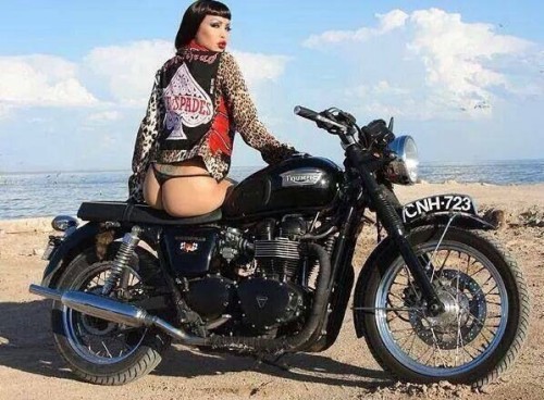 hotrodzandpinups:   Biker Babe Wednesdays @ HRP  