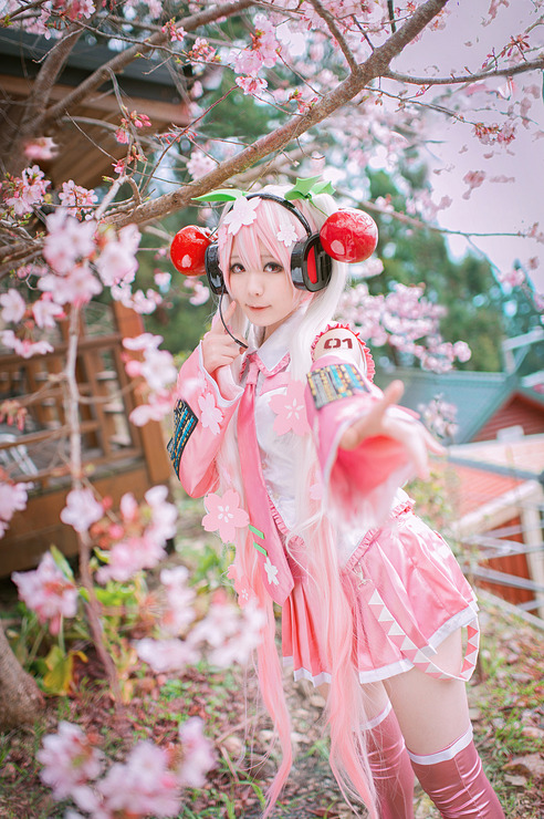 XXX vandariwuuuuutcosplay:  Character: Sakura photo